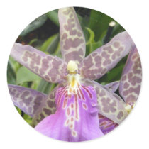 Orchid Sticker