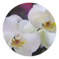 Orchid stickers stickers