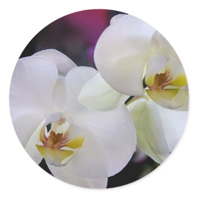 Orchid stickers