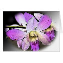 Orchid-Stylized cards