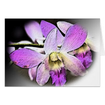 Orchid-Stylized cards