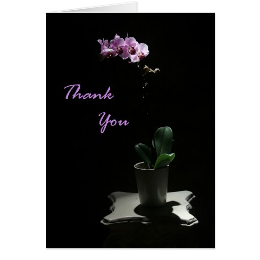 Orchid Thank You card | Zazzle