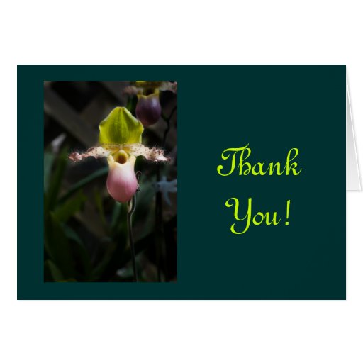 Orchid Thank You Card | Zazzle