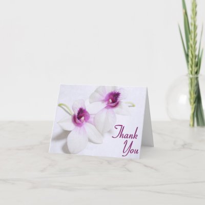   Cards on White Orchid Thank You Cards  Beautiful Photo Of White Orchids With A