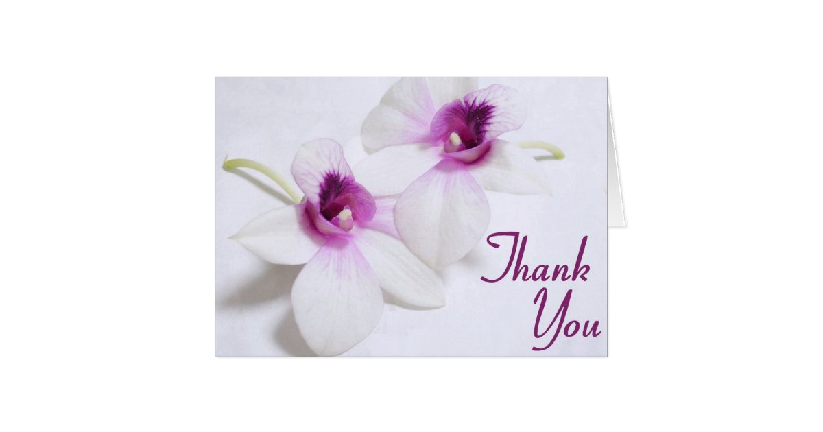Orchid Thank You cards | Zazzle