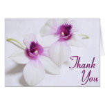 Orchid Thank You cards