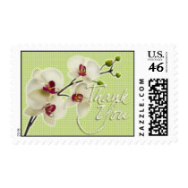 Orchid • Thank You