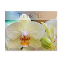 Orchid • Thank You Postcard