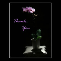 Orchid Thank You postcard postcards