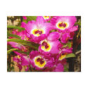 Orchid Three Postcard by GrumpyKittenGraphics Orchid Three Postcard
