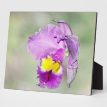 Orchid touched by God Display Plaque