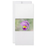 Orchid touched by God for Mom Rack Card Design
