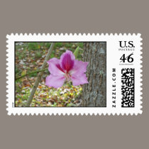ORCHID TREE postage