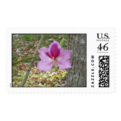 ORCHID TREE Postage