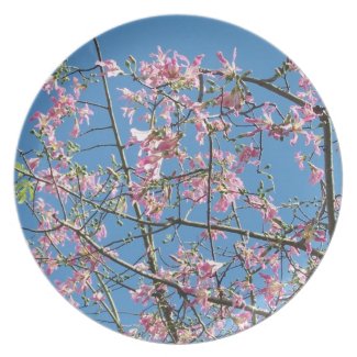 Orchid tree with blue sky party plate