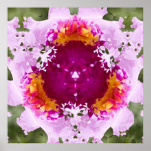 Orchid Triangle Nov 2012 Print