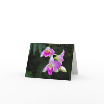 Orchid Trio Card