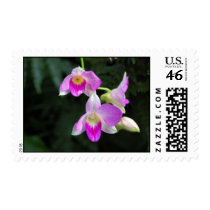 Orchid Trio Postage postage
