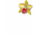 Orchid t-shirts