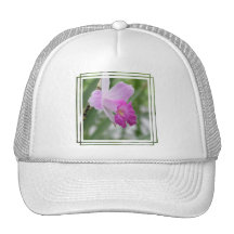 Orchid Types Baseball Hat
