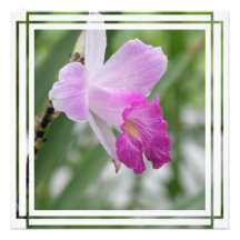 Orchid Types Invitation