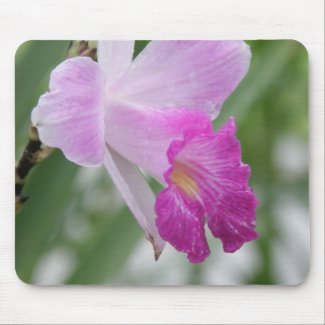 Orchid Types Mouse Pad mousepad