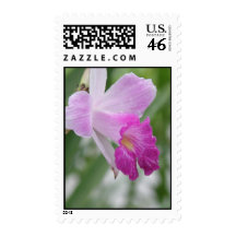 Orchid Types Postage Stamp