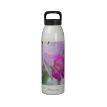 Orchid Types Water Bottle