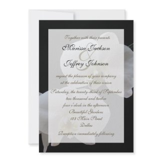 Orchid Wedding Invitation -- White Orchids invitation