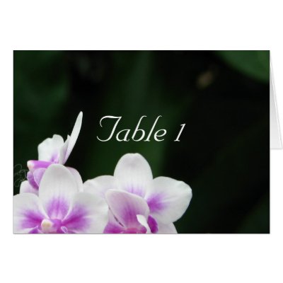 Orchid Wedding Table Card