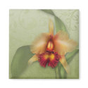 Orchid Whispers magnets