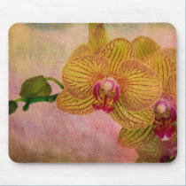 Orchid with grunge texture mousepads