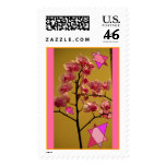 Orchid with Jewish Stars Postage Stamps