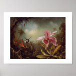 Orchid_with_Two_Hummingbirds_1871 Print