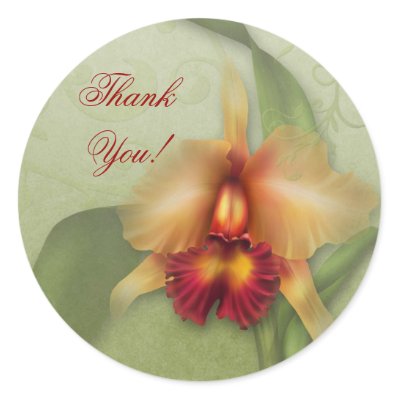 Orchid Wonder Sticker