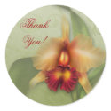Orchid Wonder stickers