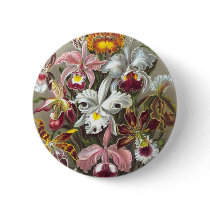 Orchidae (Orchids), Ernst Haeckel Buttons