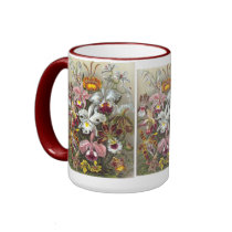 Orchidae (Orchids), Ernst Haeckel mugs