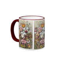 Orchidae (Orchids), Ernst Haeckel Mug