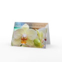 Orchidee • Geburtstagskarte cards