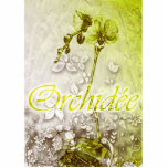 Orchidee Photo Cut Outs