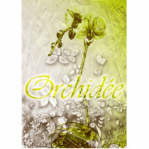 Orchidee photo sculptures