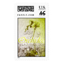 Orchidee postage