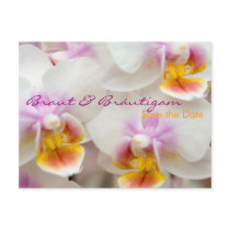 Orchidee • Save the Date Postkarte postcards