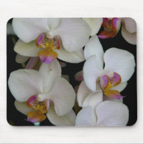 Orchids1 mousepads