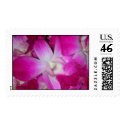 orchids 004 postage by jv1019 orchids 004 postage