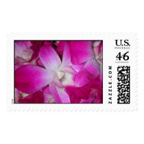 orchids 004 postage