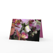 Orchids 02 cards by PBworks Orchids 02 cards