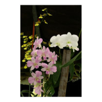 Orchids 02 posters