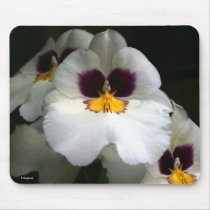 Orchids_1488 Mousepad